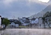 1-4惨负阿根廷3天后巴西换帅！解雇62岁本土教头 将聘请外籍名帅.